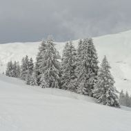 LES CONTAMINES • 29/01/2012