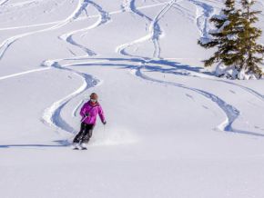 Les Portes du Mont Blanc