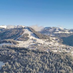 Les Portes du Mont Blanc